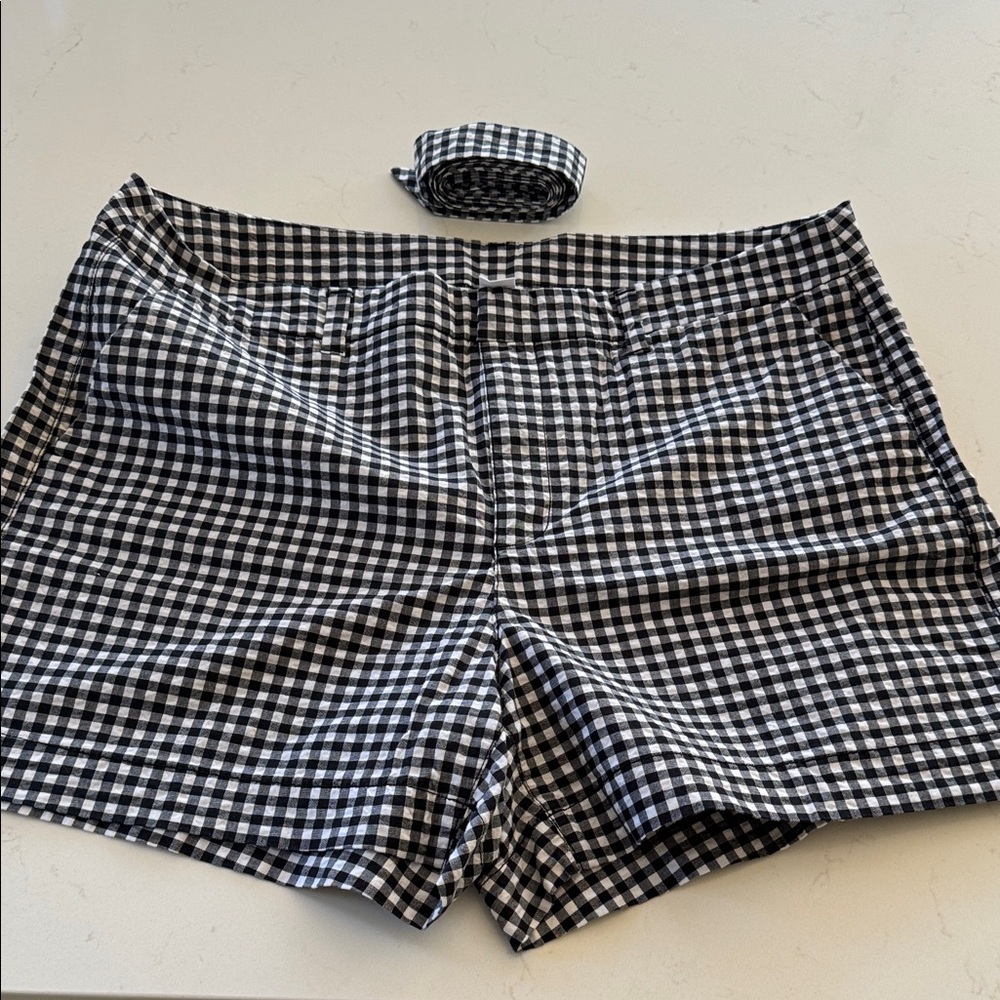 Old Navy Gingham Women's High Waist Shorts with matching tie.  Size: 12
